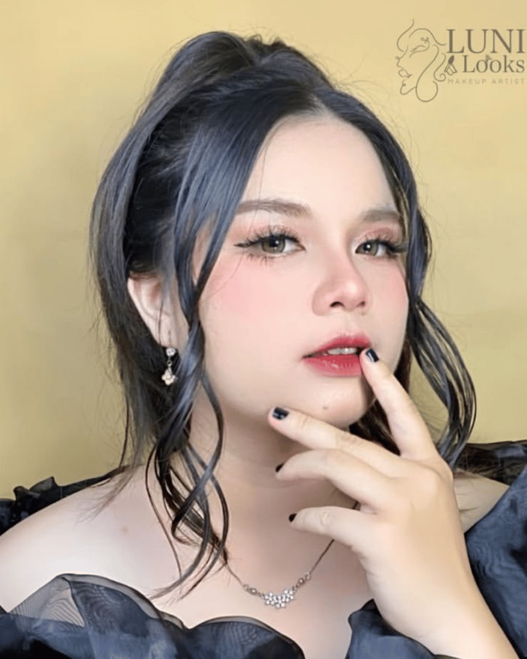 Portfolio Lunilooks 1